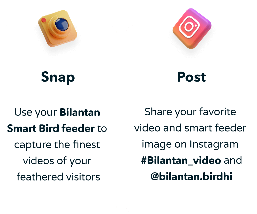 Snap: Use your Bilantan Smart Bird feeder to capture the finest videos of your feathered visitors.  Post: Share your favorite video and smart feeder image on Instagram #Bilantan video and @bilantan.birdhi.  Win: The post with the most Likes on Instagram wins $1000. Top 100 posts on Instagram to win Hummingbird Feeder.